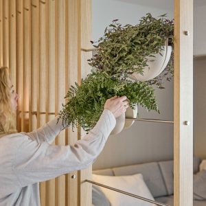 Kobieta układa rośliny na systemie WoodUpp — drewnianej, pionowej ściance z listew dębowych, ze stalowymi prętami i półkulistymi, matowymi białymi donicami WoodUpp. Obfite paprocie i pnącza wypełniają donice, tworząc naturalną, zieloną przegrodę między strefami mieszkania z subtelnymi metalowymi mocowaniami i minimalistycznym, skandynawskim wzornictwem.