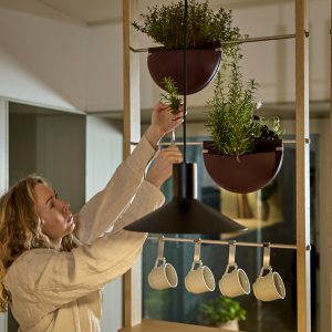 Kobieta sięga po rozmaryn i inne zioła w dwóch bordowych, półokrągłych donicach WoodUpp zawieszonych na drewnianej ramie systemu kuchennego. Metalowe drążki WoodUpp z haczykami podtrzymują cztery białe kubki; obok wisi czarna lampa. Całość praktyczna, minimalistyczna i elegancka, z widocznymi metalowymi łącznikami.